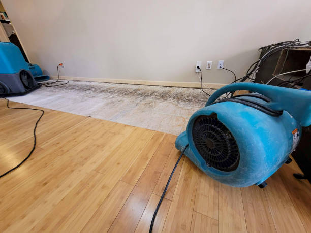 Professional Basement Flood Cleanup technician working in Deer Trail, CO